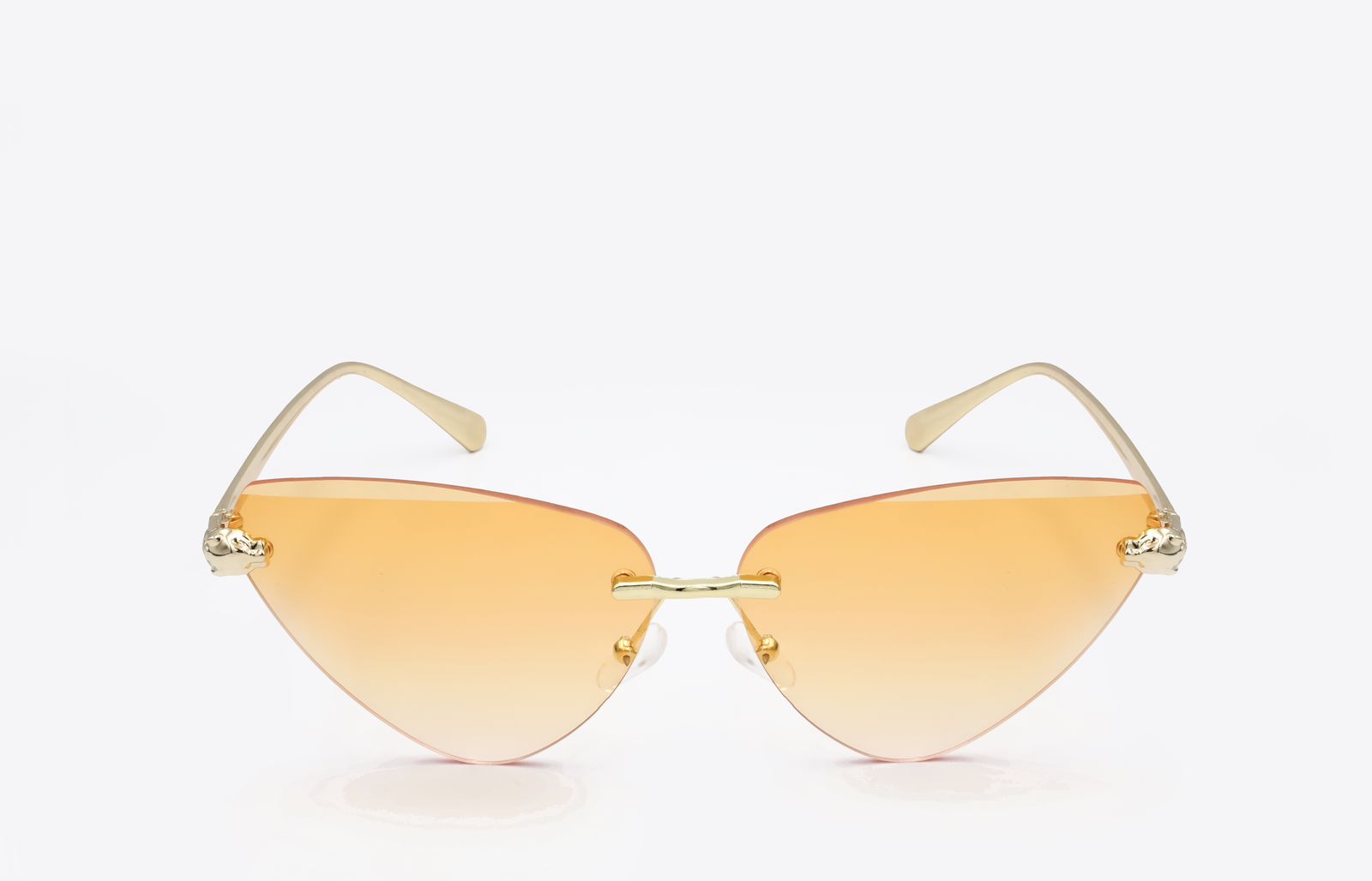 WhatsApp Image 2024-11-23 at 10.18.24 AM